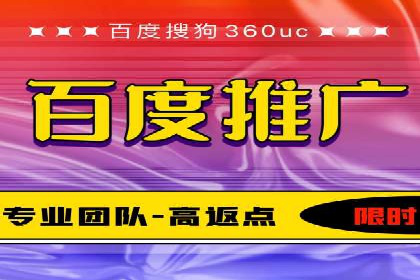 网络推广与竞价策略实战案例